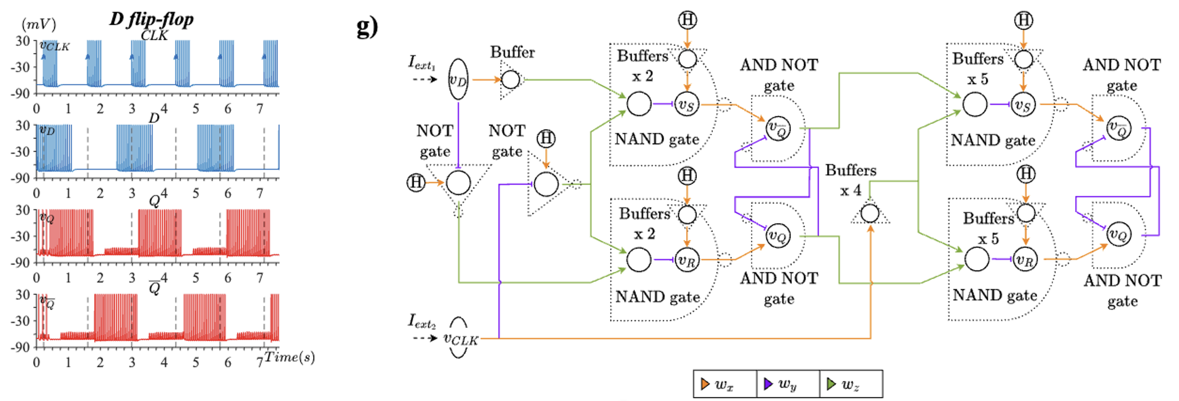 Neuronal logic circuit spiking model diagram